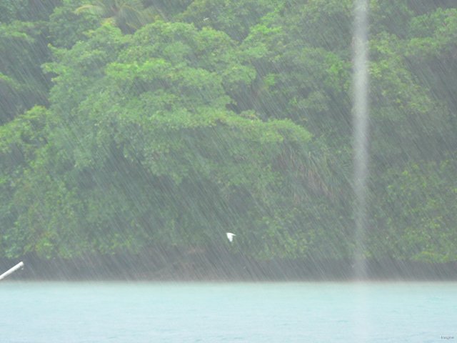 18- Deux jours de pluie non-stop a notre arrivee a Neiafu 